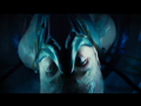 YouTube player