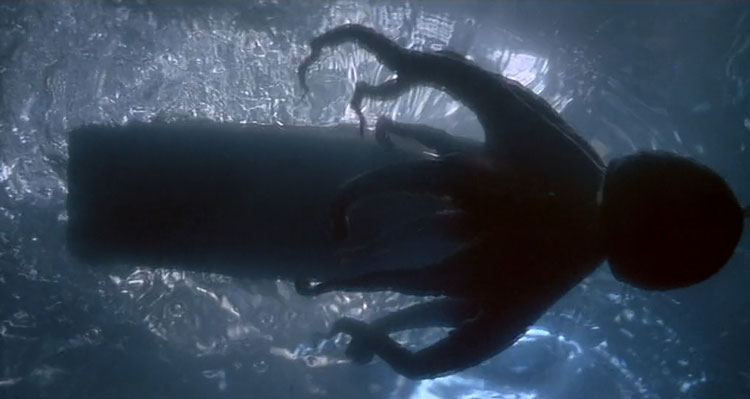 Sea Monsters - Top Ten Octopus Movies cover image that's from Tentacles 1977 Movie